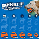Chuckit! Sport Ball Launcher Toy For Dogs- 26L (color varies)