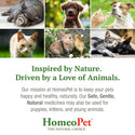 HomeoPet Feline Digestive Upsets For Cats (15 ml)