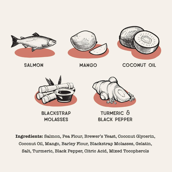 Dog Treat Naturals Superfood Sticks Salmon & Mango Dog Treats (10 oz)