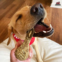 Redbarn Chew-A-Bulls Brush Shaped Dental Chews for Dogs