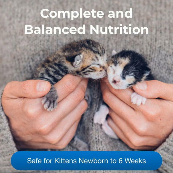 kmr milk replacer for kittens provides complete and balanced nutrition