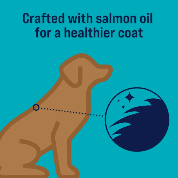 Stewart Shine Salmon & Sweet Potato w/ Omega-3 Fatty Acids Freeze-Dried Treats For Dogs (4 oz)