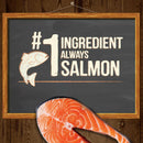 Power Bites Soft & Chewy Grain Free Real Salmon Dog Treats (6 oz)