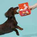 BARK Animal Squeakers Snacks Multi-Part Squeaky Plush Dog Toy- X-Small/Small