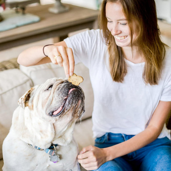 Cloud Star Wag More Bark Less Grain-Free Pumpkin Crunchy Biscuits Treats For Dogs