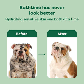 Earth Rated 3-in-1 Short Coat White Tea & Basil Shampoo & Conditioner for Dogs (16 oz)