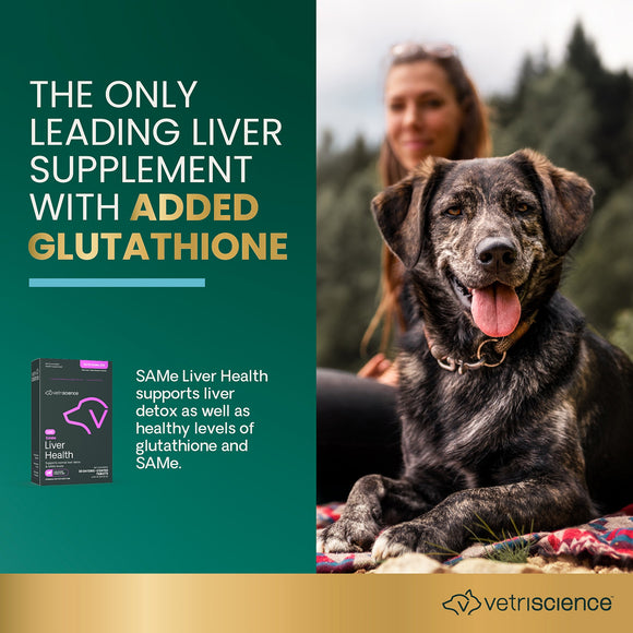SAMe Liver Health 225 mg tablet for Dogs