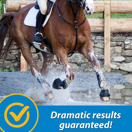 Farnam Fluidflex Liquid Joint Supplement for Horses