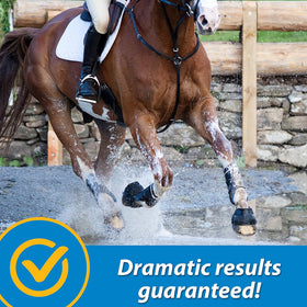 Farnam Fluidflex Liquid Joint Supplement for Horses