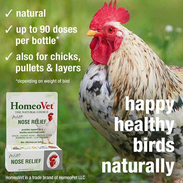 HomeoPet Avian Nose Relief For Poulty & Birds (15 ml)