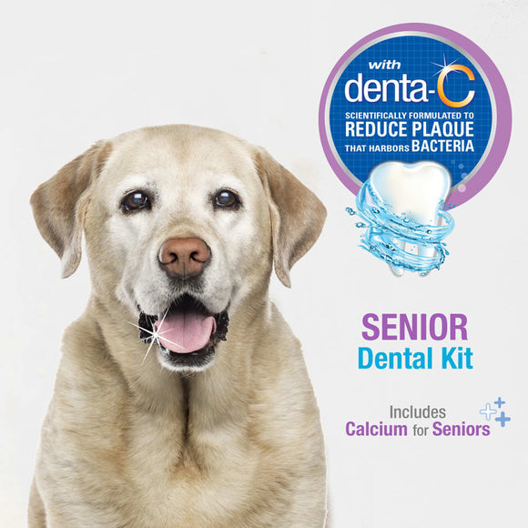 Nylabone Advanced Oral Care Senior Dog Dental Kit with Bacon Toothpaste