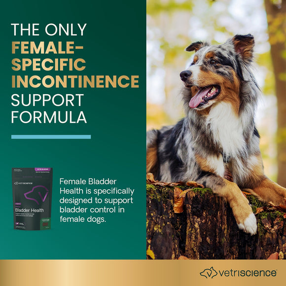 Female Bladder Health Chews for Dogs