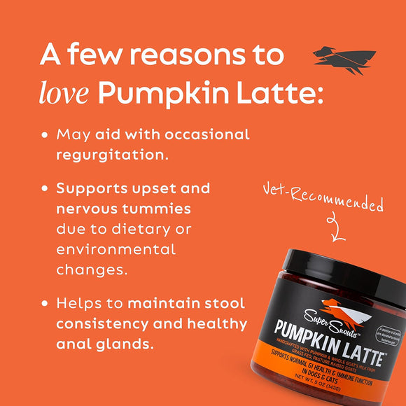 Super Snouts Pumpkin Latte Immunity & Digestion Supplement for Dogs & Cats