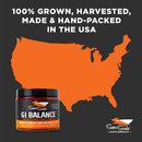 Super Snouts G.I. Balance Digestive Digestive Health & Function Supplement for Dogs & Cats (3.1 oz)