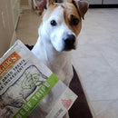 Evanger's Nothing but Natural Gently Air Dried Beef Tripe Dog & Cat Treats (3.5 oz)