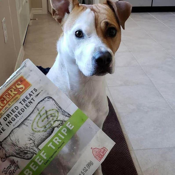 Evanger's Nothing but Natural Gently Air Dried Beef Tripe Dog & Cat Treats (3.5 oz)