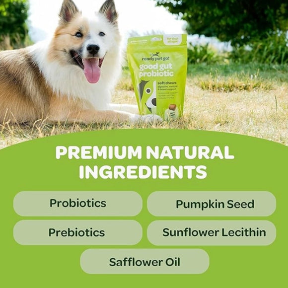 Ready Pet Go Good Gut Probiotic Support for Dogs (60 soft chews)