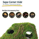 Galapagos Sapa Corner Hide Terrarium Hideaway (10 in)