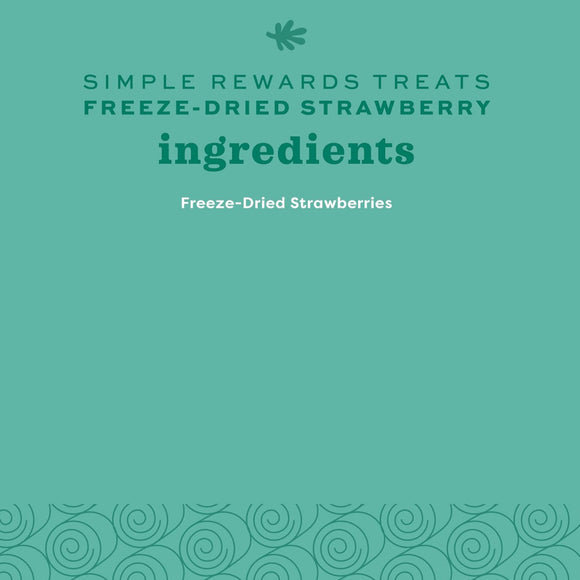Oxbow Simple Rewards Freeze Dried Strawberry Small Animal Treats (0.5 oz)