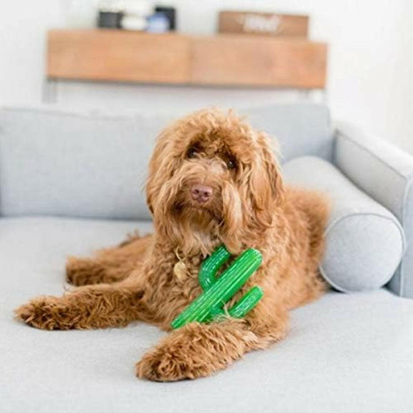 Zippy Paws Tuff Cactus Squeaky Plush Tuff Toy For Dog (Large)