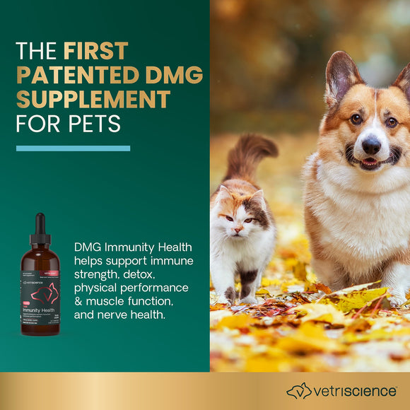 DMG Immunity Health 114 ml Liquid for Cats and Dogs