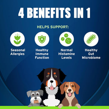 Pet Protect Allergy & Immune + Soft Chews for Dogs (60 ct)