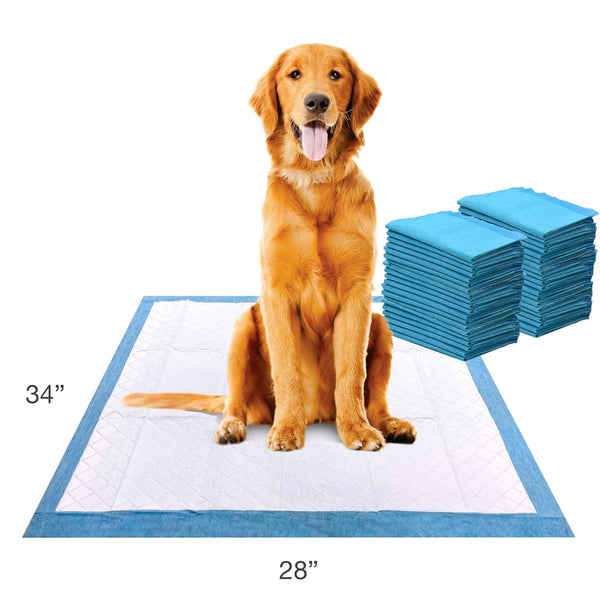 Four Paws Wee-Wee Superior Performance Standard Dog Pee Pads - 22"x23" inch