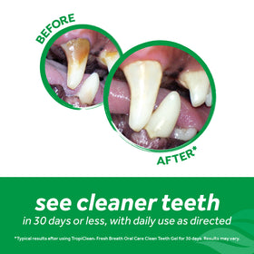 TropiClean Fresh Breath Dental & Oral Care Brushing Gel for Pets -2oz