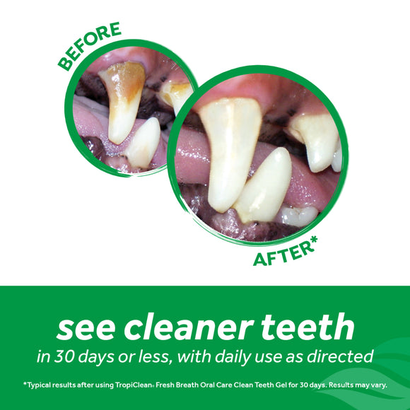 TropiClean Fresh Breath Dental & Oral Care Brushing Gel for Pets -2oz