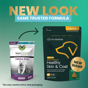 Extra Strength Healthy Skin & Coat Chews for Dogs