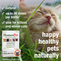 HomeoPet Feline Skin & Itch Care For Cats (15 ml)