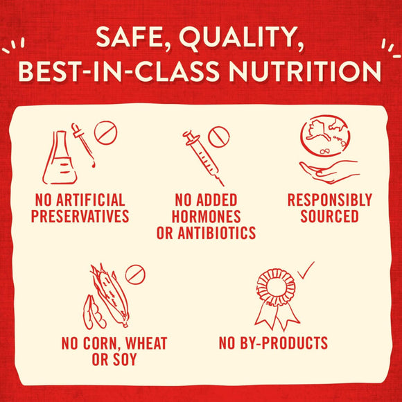 Stella & Chewy's Duck Wild Weenies Freeze-Dried Raw Dog Treats (3.25 oz)