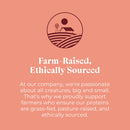 OTIS Wild Things Bison Lung Filets Treats for Dogs (4 oz)