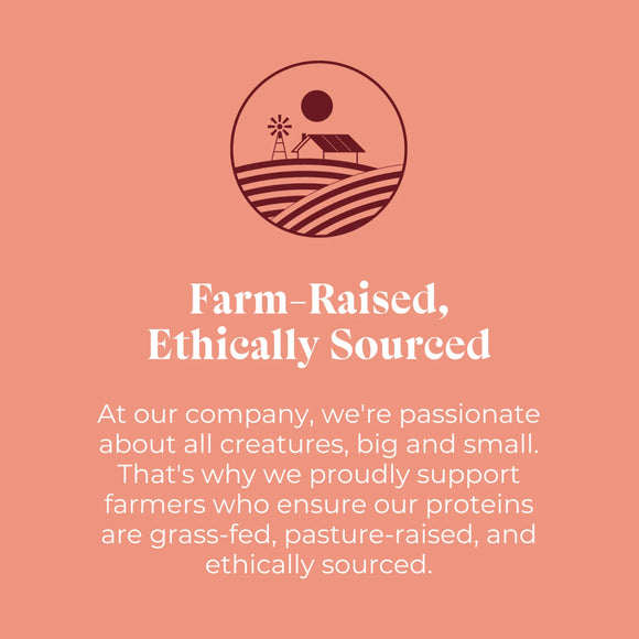 OTIS Wild Things Bison Lung Filets Treats for Dogs (4 oz)