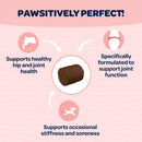 Ready Pet Go Hip & Joint Mobility Support for Dogs (90 soft chews)