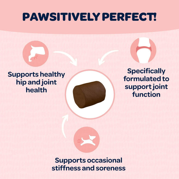 Ready Pet Go Hip & Joint Mobility Support for Dogs (90 soft chews)