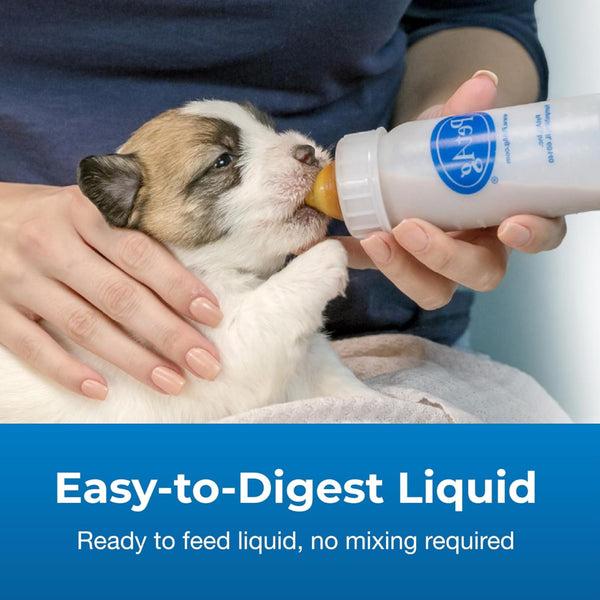 Pet-Ag PetLac Liquid Puppy Milk Replacement For Puppies (32 oz)