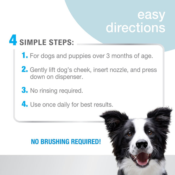 Nylabone Advanced Oral Care Foaming Tartar Remover For Dogs (4 oz)