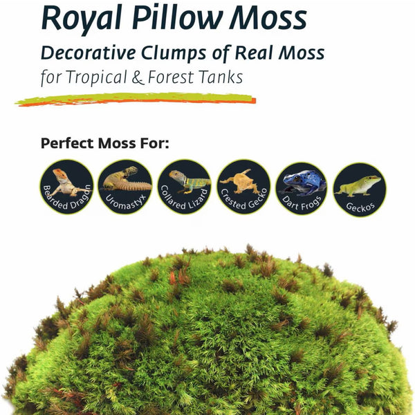 Galapagos Royal Pillow Moss for all Repitiles and Amphibians