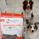 Shameless Pets Lobster Rollover Soft Baked Treats For Dogs (6 oz)