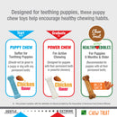 Nylabone Puppy Triple Pack Treat & Chew for Puppies- Variety Pack