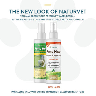 NaturVet Potty Here Training Aid Spray for Indoor & Outdoor Use (8 oz)