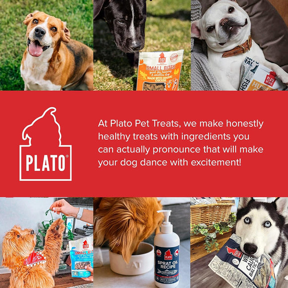 Plato Thinkes Real Salmon Recipe Sticks Dog Treats