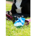 Four Paws Wee-Wee Outdoor Waste Bag Dispenser with Heavy Duty Waste Bags For Dogs