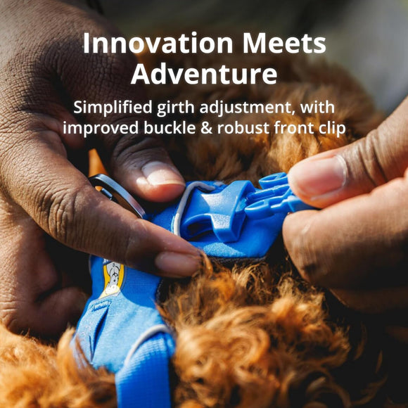 Ruffwear Front Range Dog Harness- Blue Pool