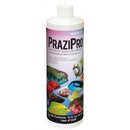 Hikari Prazipro Liquid Safest Parasite Treatment