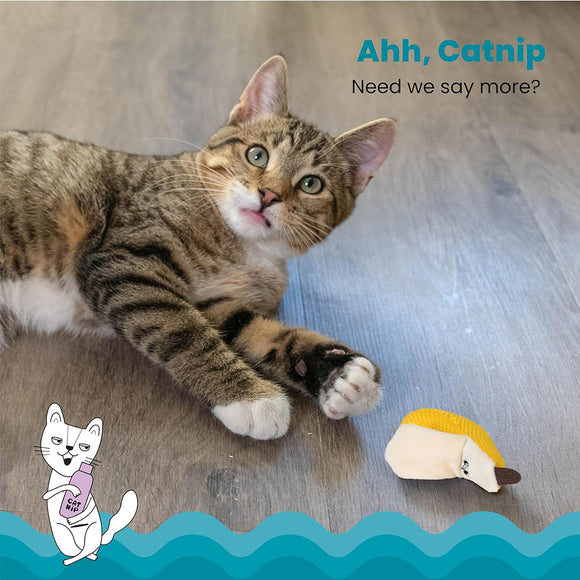 Catstages Banana Cat Dental Chew Toy with Catnip