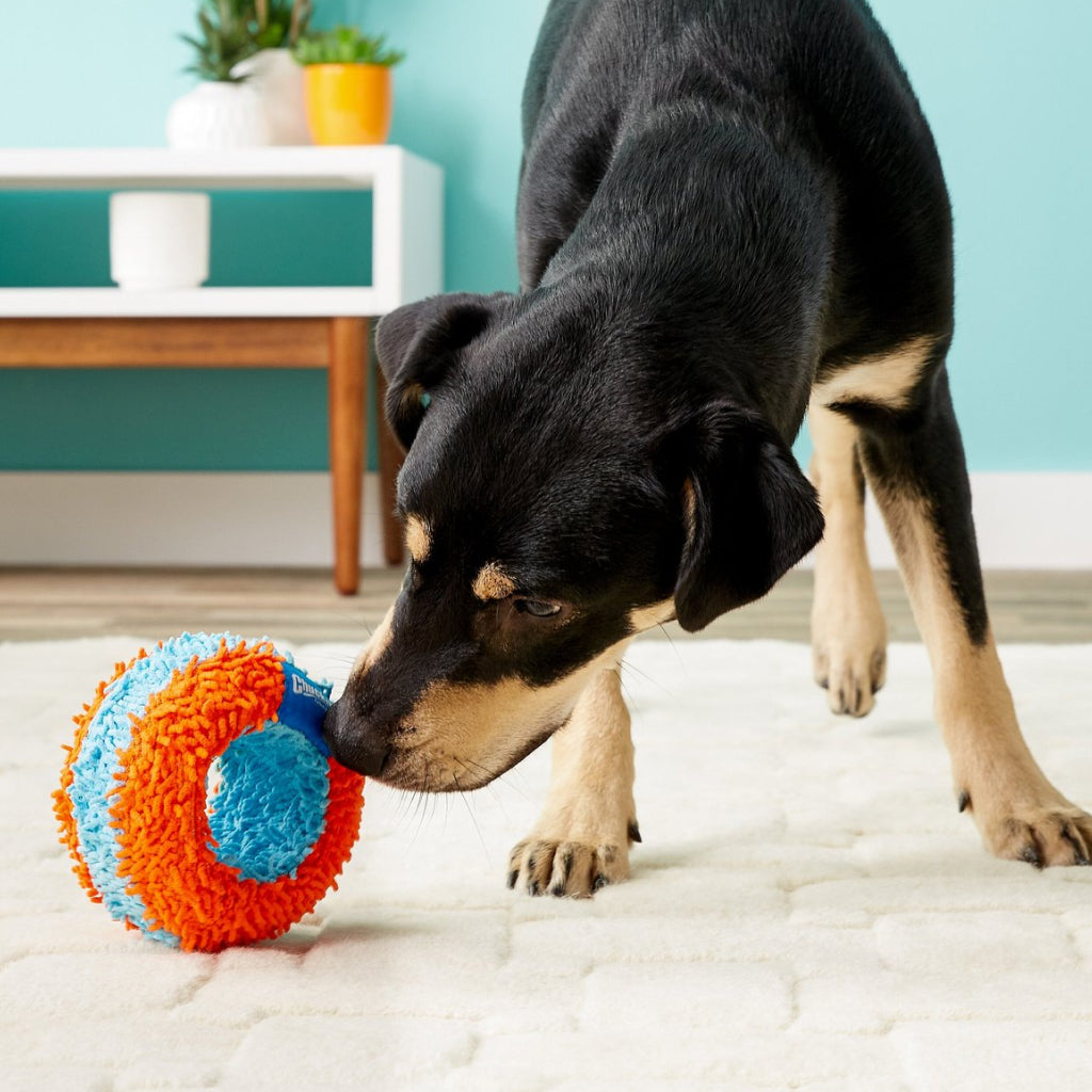 Chuckit! Indoor Roller Toy For Dog