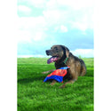 Chuckit! Flying Squirrel Toy For Dogs - Large (color varies)