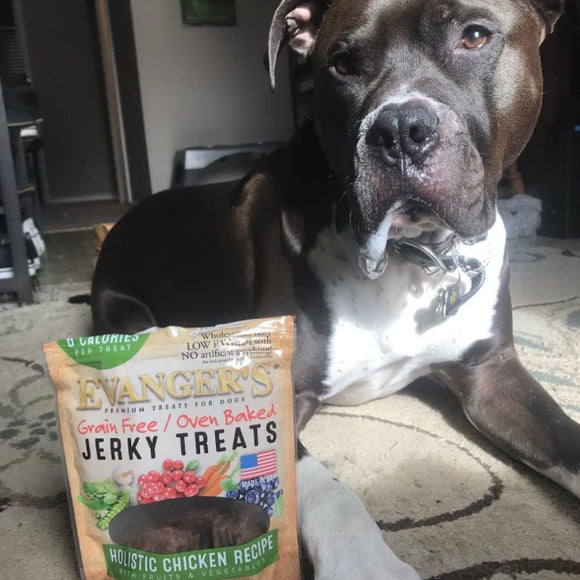 Evanger's Nothing But Natural Holistic Chicken Recipe Jerky Dog Treats (4.5 oz)